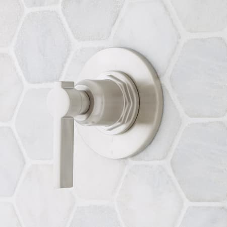 A large image of the Signature Hardware 948901-LV Brushed Nickel