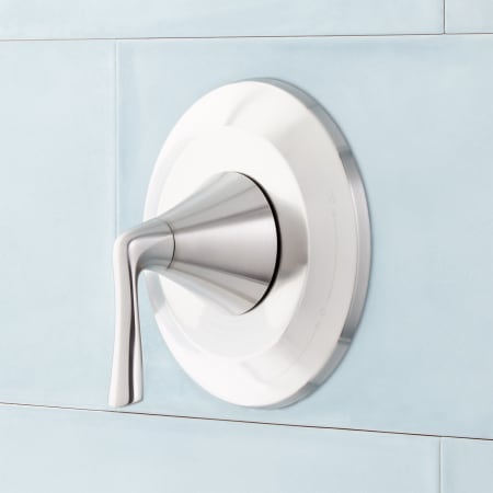 A large image of the Signature Hardware 948894-LV Brushed Nickel