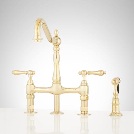 A large image of the Signature Hardware 907295 Polished Brass