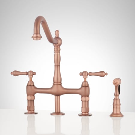 A large image of the Signature Hardware 907295 Antique Copper