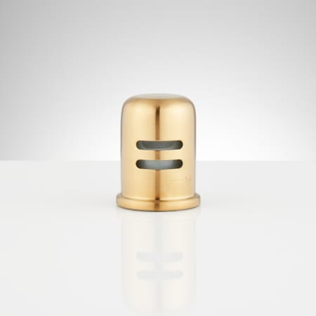 A large image of the Signature Hardware 902528 Brushed Gold