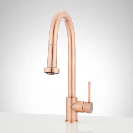 A large image of the Signature Hardware 951732 Satin Copper