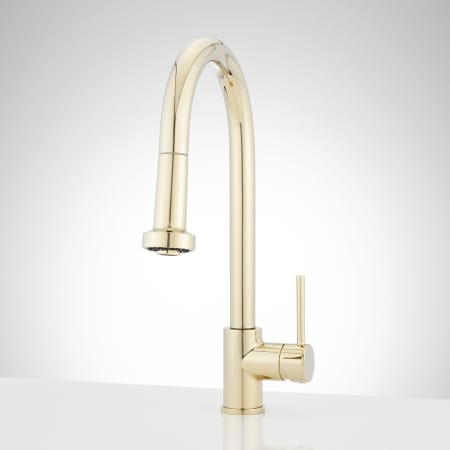 A large image of the Signature Hardware 951732 Polished Brass