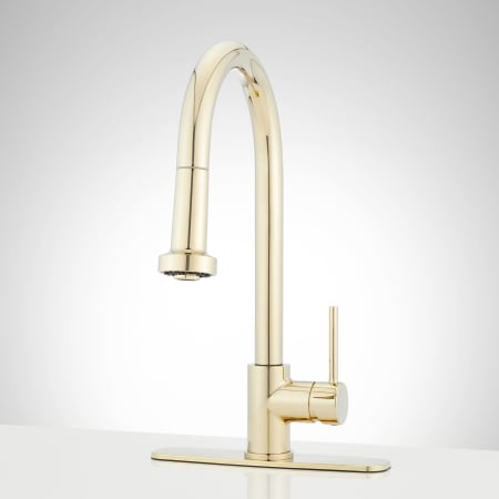 A large image of the Signature Hardware 951733 Polished Brass