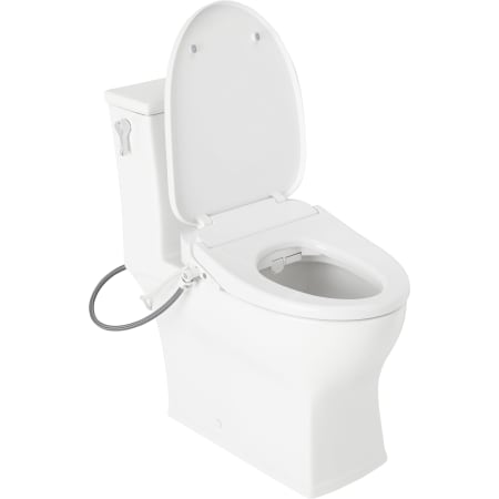 signature hardware carraway toilet