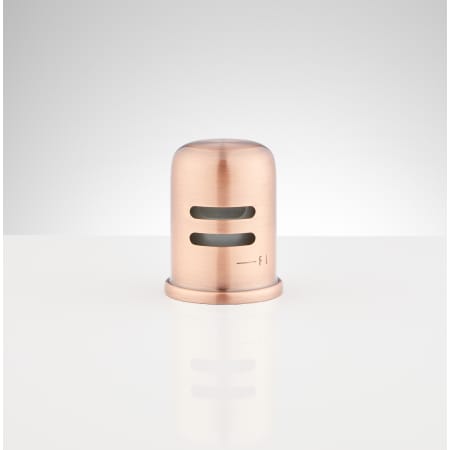 A large image of the Signature Hardware 902528 Satin Copper