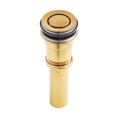 A large image of the Signature Hardware 947925 Brushed Gold