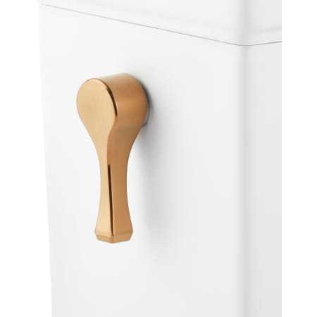signature hardware carraway toilet