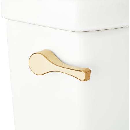 signature hardware carraway toilet