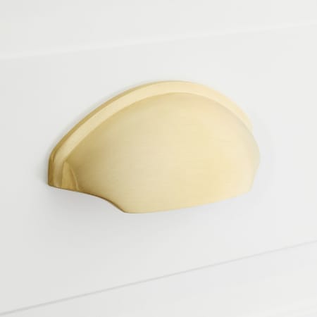 A large image of the Signature Hardware 953396 Satin Brass