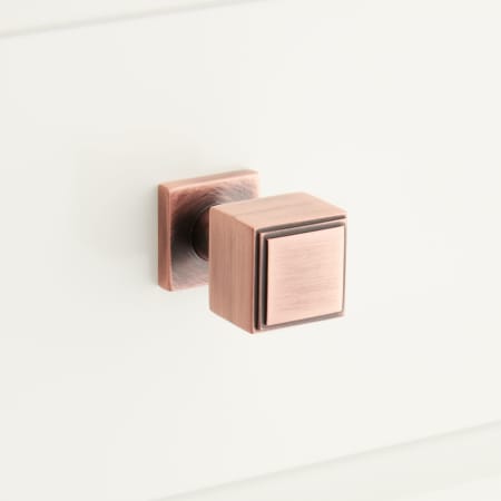 A large image of the Signature Hardware 953559 Antique Copper