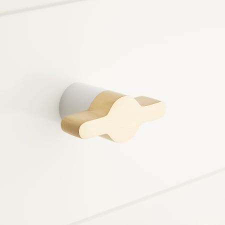 A large image of the Signature Hardware 953584 Brushed Brass