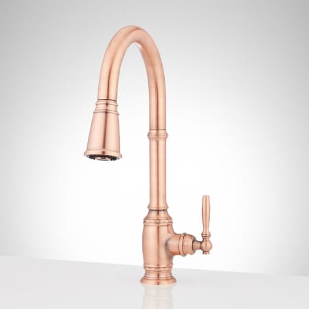 A large image of the Signature Hardware 953519 Satin Copper