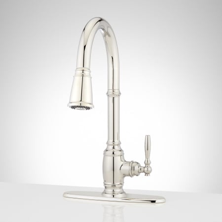 A large image of the Signature Hardware 953519-DP Polished Nickel