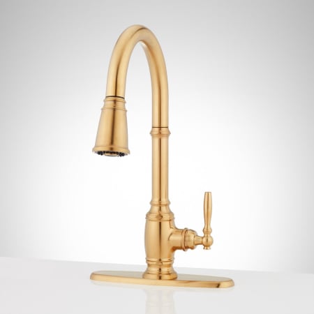 A large image of the Signature Hardware 953519-DP Brushed Gold