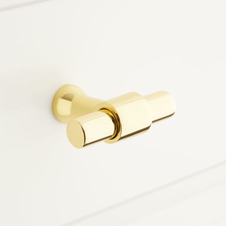 A large image of the Signature Hardware 953575 Polished Brass