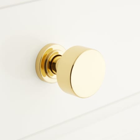 A large image of the Signature Hardware 953576 Polished Brass