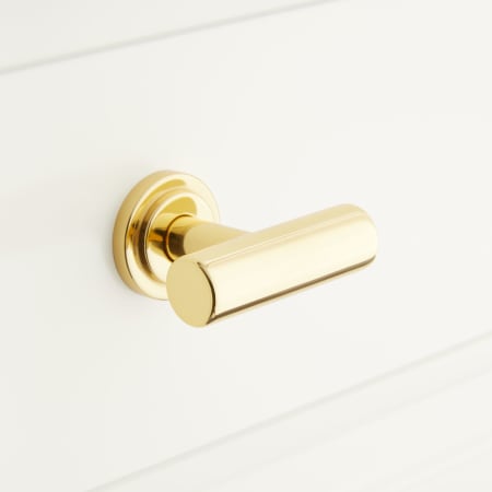 A large image of the Signature Hardware 953577 Polished Brass