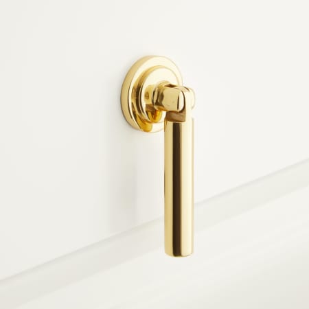 A large image of the Signature Hardware 953578 Polished Brass