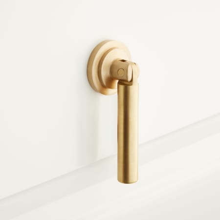 A large image of the Signature Hardware 953578 Satin Brass