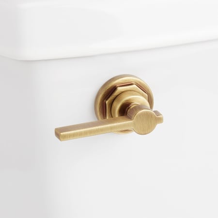 A large image of the Signature Hardware 948383 Aged Brass