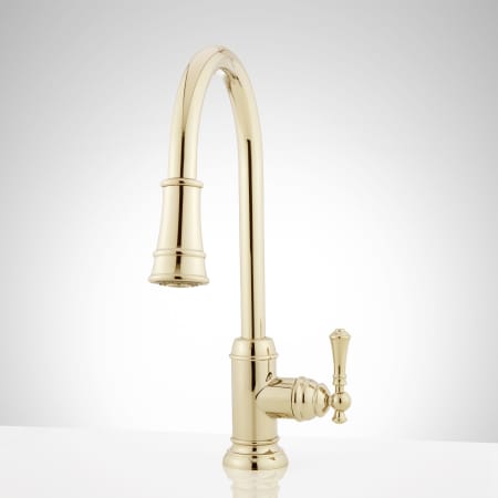 A large image of the Signature Hardware 948399 Polished Brass