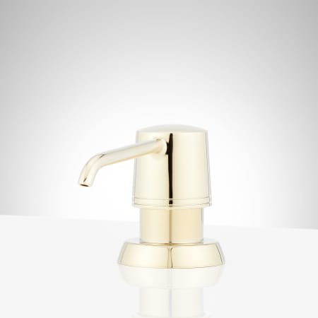 A large image of the Signature Hardware 953789 Polished Brass