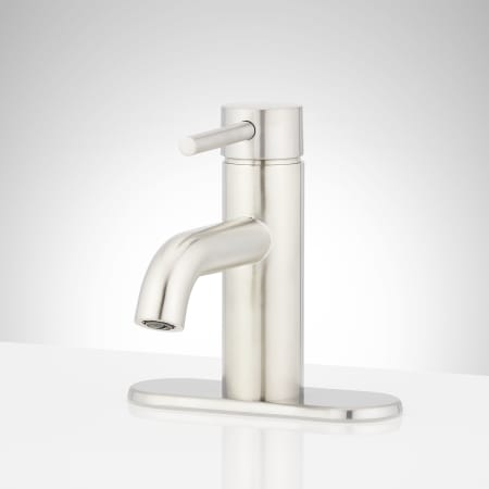 A large image of the Signature Hardware 953760-DP Brushed Nickel