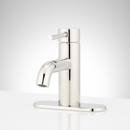 A large image of the Signature Hardware 953760-DP Polished Nickel