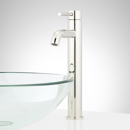 A large image of the Signature Hardware 953761 Polished Nickel