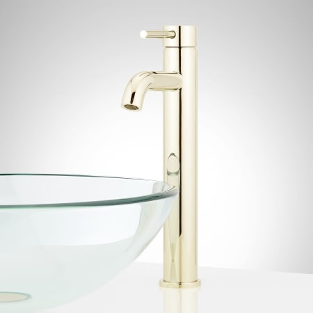 A large image of the Signature Hardware 953761 Polished Brass