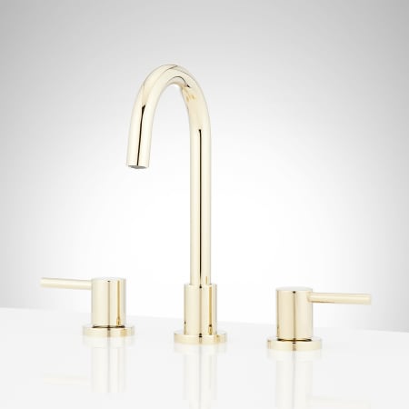 A large image of the Signature Hardware 953763 Polished Brass