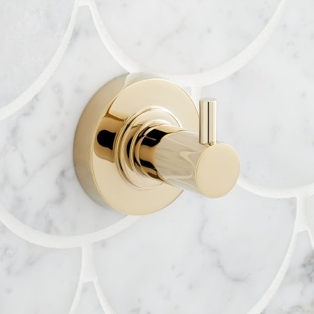 A large image of the Signature Hardware 953785 Polished Brass