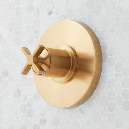 A large image of the Signature Hardware 953799 Brushed Gold