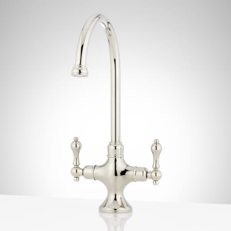 A large image of the Signature Hardware 909999 Polished Nickel