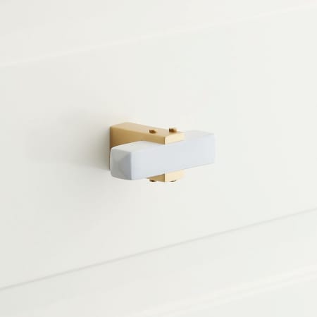 A large image of the Signature Hardware 484091 Matte White / Satin Brass