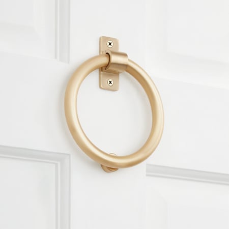 A large image of the Signature Hardware 953825 Satin Brass