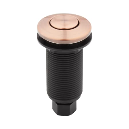 A large image of the Signature Hardware 953887 Satin Copper