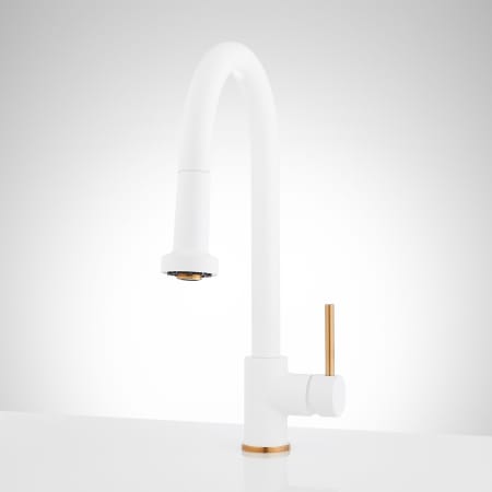 A large image of the Signature Hardware 951732 Matte White / Brushed Gold