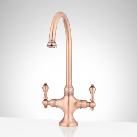 A large image of the Signature Hardware 909999 Satin Copper