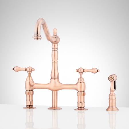 A large image of the Signature Hardware 907295 Satin Copper