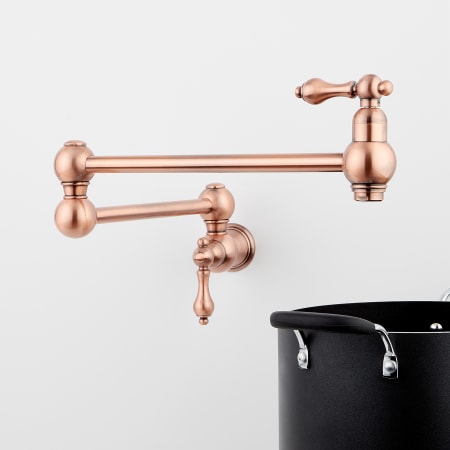 A large image of the Signature Hardware 917488 Satin Copper