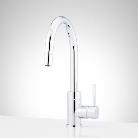 A large image of the Signature Hardware 953907 Chrome