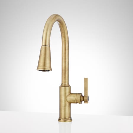 A large image of the Signature Hardware 948401 Aged Brass