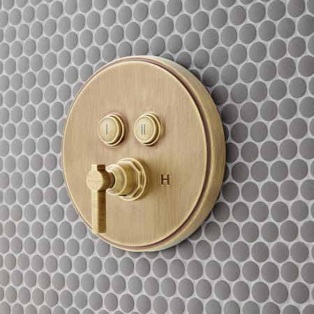 A large image of the Signature Hardware 948973 Aged Brass