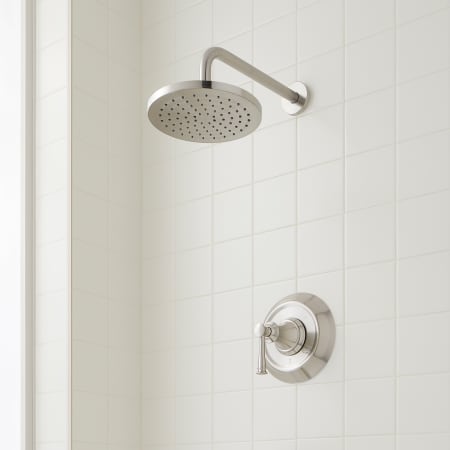 A large image of the Signature Hardware 953956 Brushed Nickel