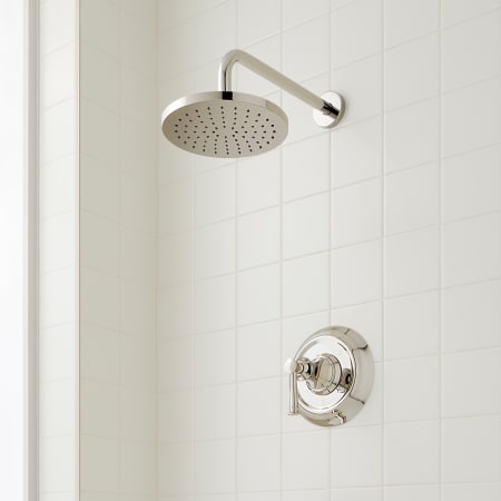 A large image of the Signature Hardware 953956 Polished Nickel