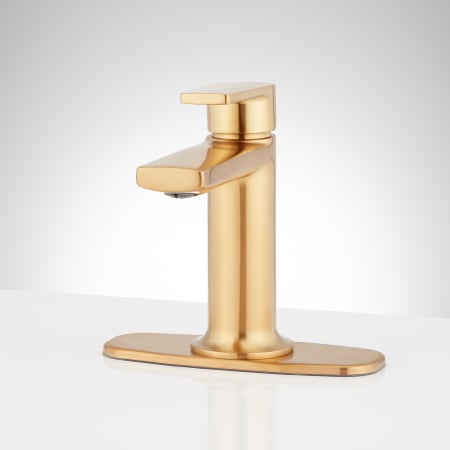 A large image of the Signature Hardware 953646-DP Brushed Gold