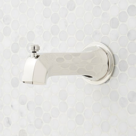 A large image of the Signature Hardware 955089 Polished Nickel