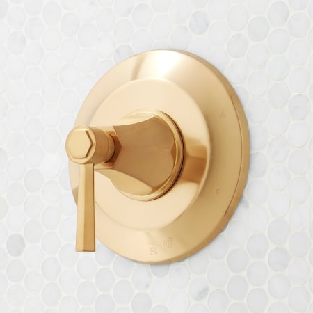 A large image of the Signature Hardware 955084-L-V Brushed Gold